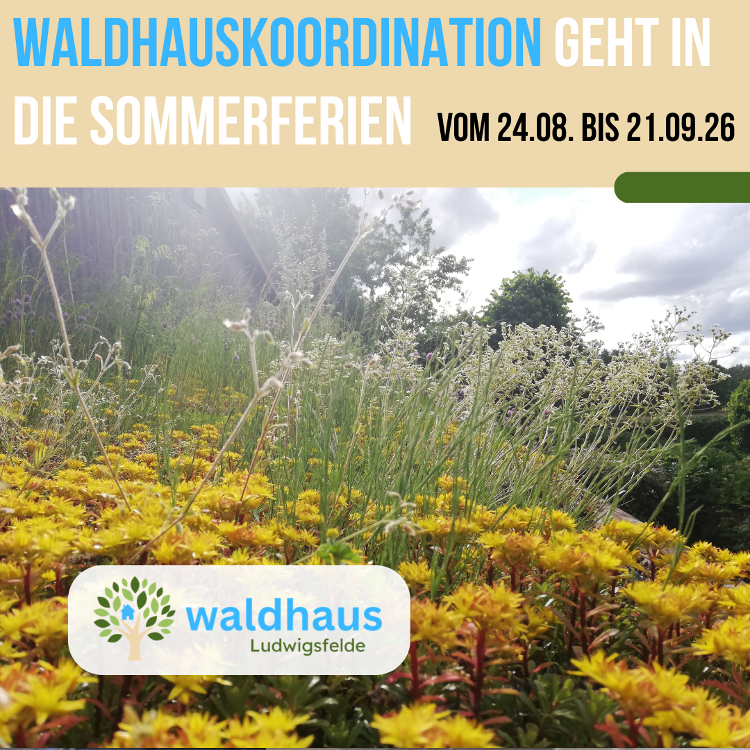 2026-08-12 Hinweis – Sommeröffnungszeiten